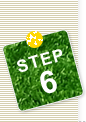 STEP6