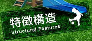 特徴構造 Structural Features